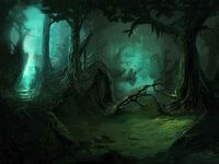 Explore: Dark Forest