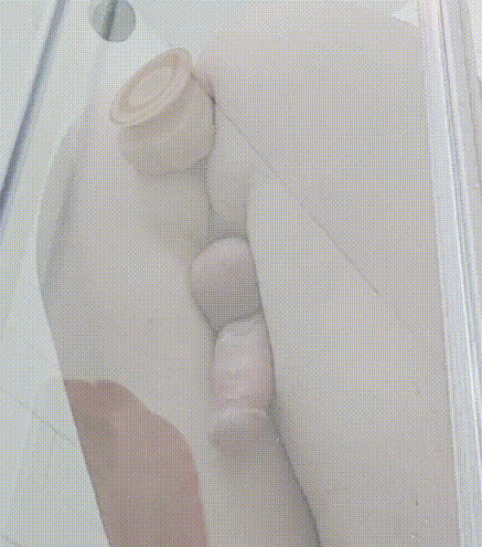 You suction your dildo to the shower's glass door and push your ass back to the toy till you feel the cold glass. You continue to fuck your ass with the dildo as they watch through the shower glass; you can hear them breathing deeply and aroused themselves.