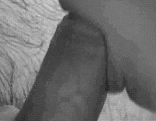 Lèche sa bite